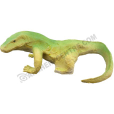 Eleven Varanus